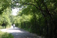 Highland Park 