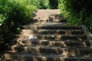 Highland Park 
