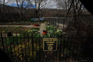 Highland Park 