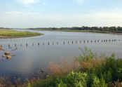 Marine Park 