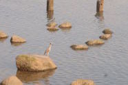 Marine Park 