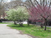 McCarren Park 
