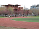 McCarren Park 