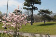Owl's Head Park 