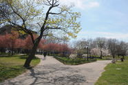 Owl's Head Park 