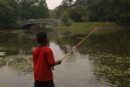 Prospect Park 