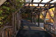 Prospect Park 