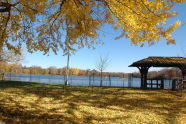 Prospect Park 