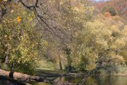 Prospect Park 