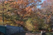 Prospect Park 
