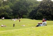 East Meadow 