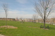 Sunset Park 