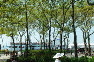 Battery Park Bosque 