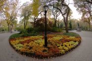 Central Park 