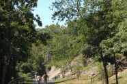 Highbridge Park 