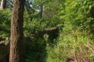 Inwood Hill Park 