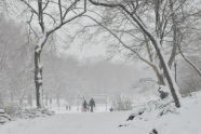 Morningside Park 