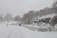 Morningside Park 