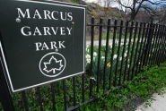 Marcus Garvey Park 