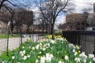 Marcus Garvey Park 