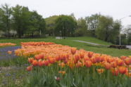 Riverside Park 