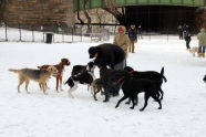 Riverside Park 