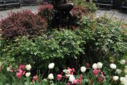 Carl Schurz Park 