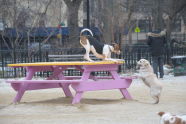 Tompkins Square Park 
