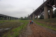 Randall's Island 