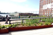 The High Line 