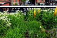 The High Line 