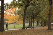 Alley Pond Park 