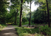 Alley Pond Park 