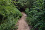 Alley Pond Park 