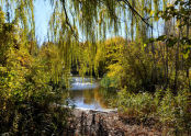 Alley Pond Park 