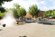 Baisley Pond Park 
