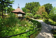 Baisley Pond Park 