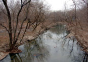 Forest Park 