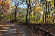 Forest Park 