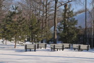 Cunningham Park 