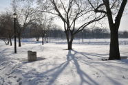 Cunningham Park 