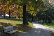 Cunningham Park 