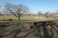 Cunningham Park 