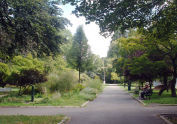Kissena Park 