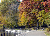 Kissena Park 