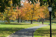 Kissena Park 