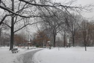 Juniper Valley Park 
