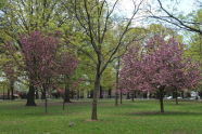Juniper Valley Park 
