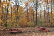 Greenbelt Native Plant Center 