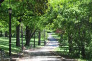 Silver Lake Park 